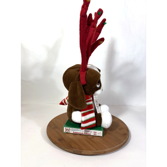 Dan Dee Sad Sam & Honey Animated Singing Light Up Plush Nothing for Christmas - Picture 8 of 13